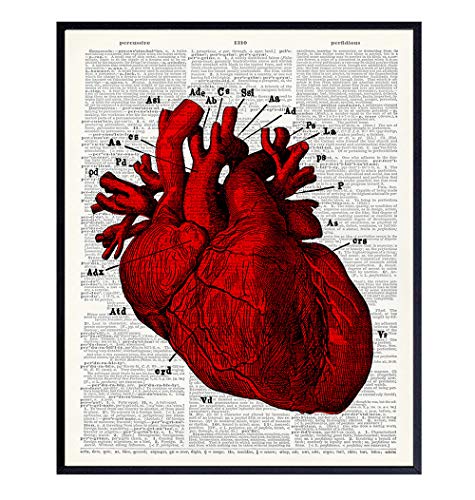 Anatomy Red Heart Wall Art Print on Dictionary Photo - Ready to Frame ...