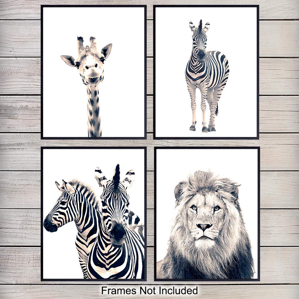 Black and White Photography African Animals Art Print Set - Wall Art ...