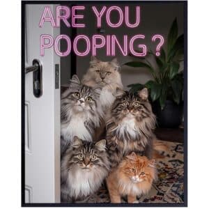 Small Bathroom Decor for Cat Mom - Humorous Bathroom Decor - Animal Theme Restroom Sign - Hot Pink Pictures Powder room - Kitty Lover Gifts - Cute Guest Bath Bath Wall Art - Are You Pooping Cat Sign - B0DXVNQ1W3